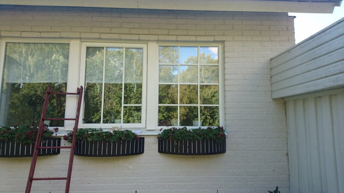 Kökets fönster med nymålade, hemgjorda spröjs och blomlådor, stege vid sidan.