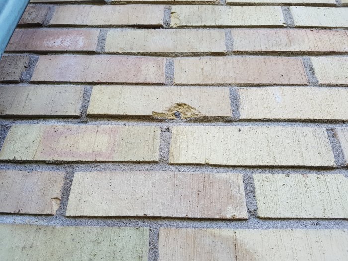 Skadad tegelvägg med frostsprängningar, en synlig spricka och vittrad fog där insektsgångar syns.