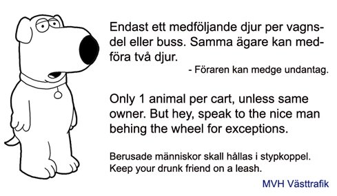 Illustration av en vit hund bredvid text om regler för djur och berusade personer på kollektivtrafiken.