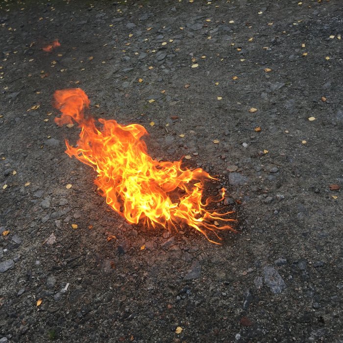 Eld på marken med omgivande småsten och höstlöv.