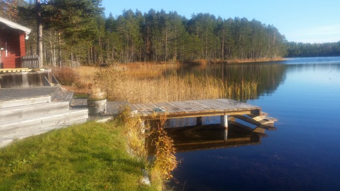 Altan och brygga vid sjö med skog i bakgrunden i soligt väder.