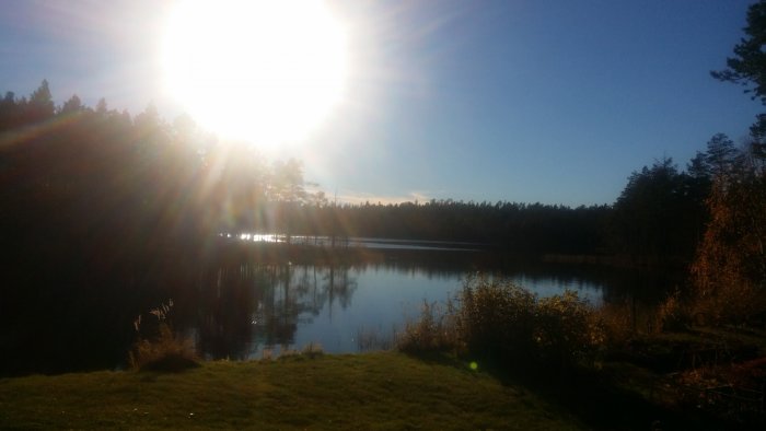 Solnedgångsutsikt från en stuga med en grön gräsmatta som leder ner till en stilla sjö omgiven av träd.