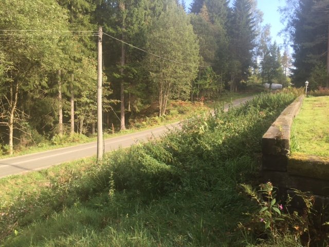 Gammal stödmur längs med vägkanten omgiven av grönska och träd.