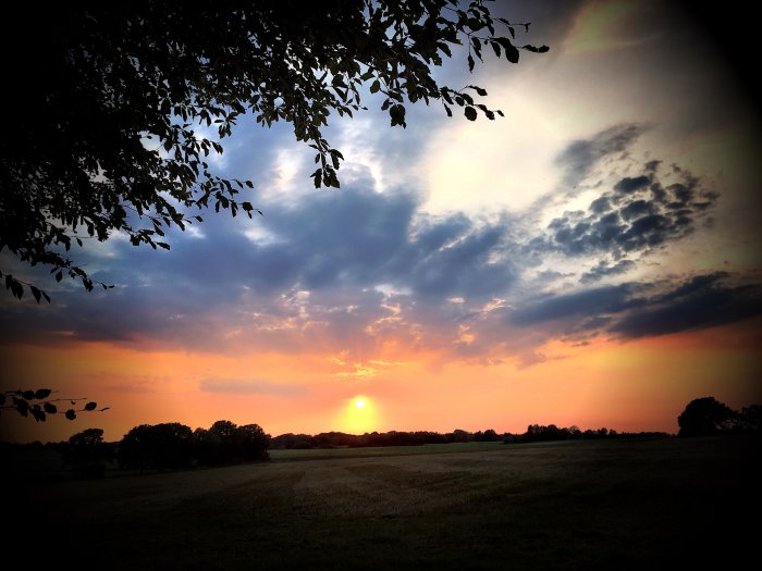 Dramatisk solnedgång över ett öppet fält med silhuetter av träd och färgsprakande himmel i september.