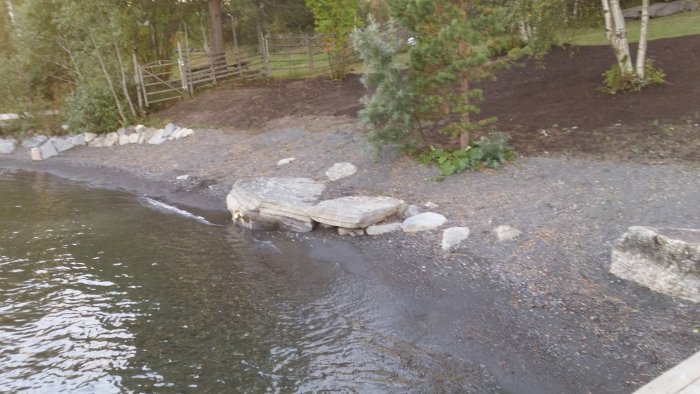 Strandkant vid en brygga med nytillagt jord och stora stenar som erosionsskydd.