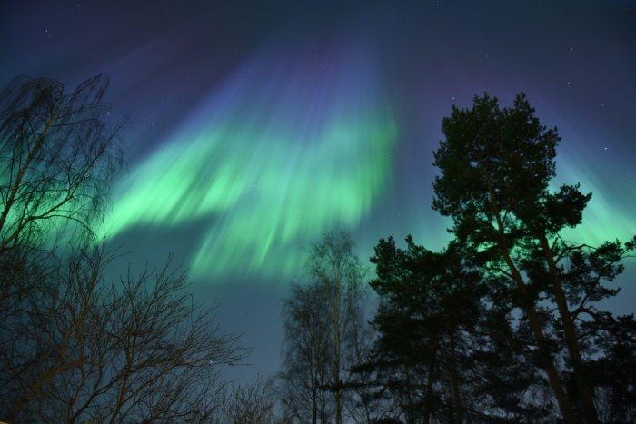 Norrsken över trädtoppar i Täby den 18 mars 2015.