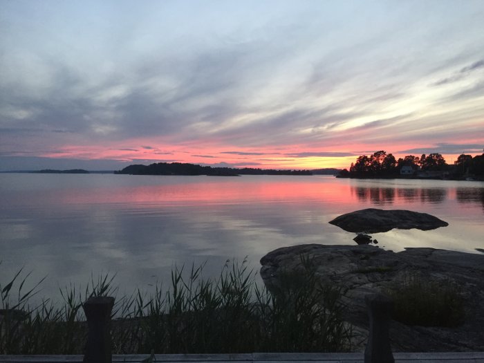 Solnedgång över en stilla sjö med silhuetter av träd och hus i bakgrunden.