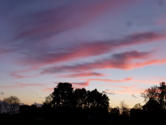 Solnedgång med rosa moln över trädtopparna i Sydhalland, tagen 2012-10-07 kl 18.41.