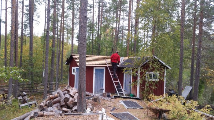 Person i rött färdigställer nytt tak på röd stuga i skogsmiljö.