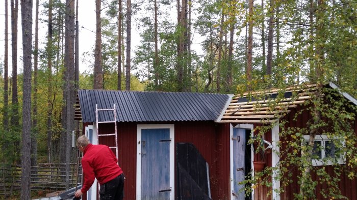 Person som byter tak på röd stuga med skogsbakgrund.