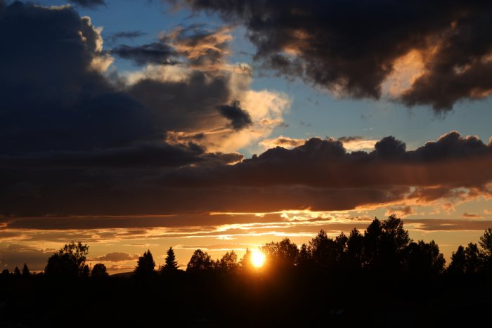 Dramatisk solnedgång med silhuetter av träd mot en himmel med moln i Öjebyn.