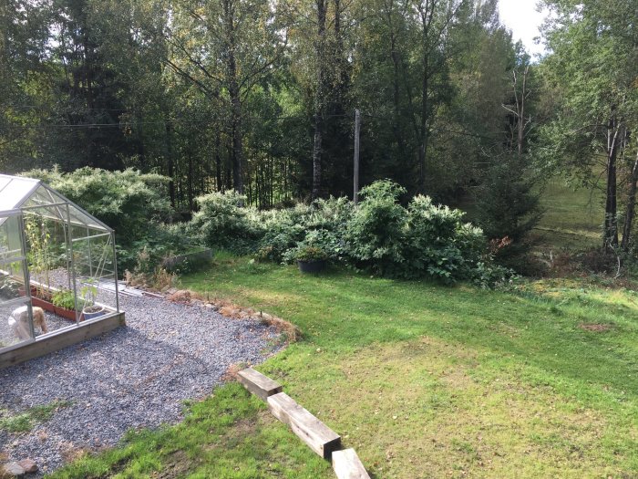 Trädgård med Parkslide längs kanten av gräsmattan, växthus och skog i bakgrunden.