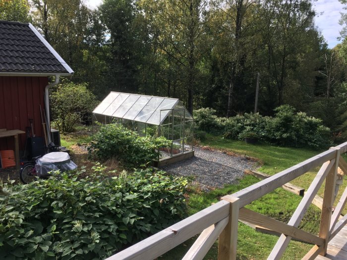 Trädgård med växthus och områden där Parkslide behandlats med Glyfosat, sedd från en veranda.