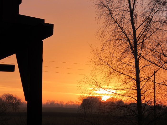 Soluppgång med orange himmel som ses genom grenar på ett träd och en trähustaknock.