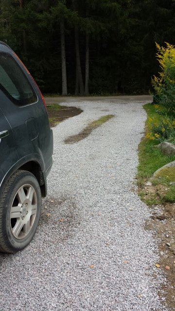 Nygrusad infart med synliga rester av gammal gräsmatta vid skogsbryn och bilens däck till vänster.