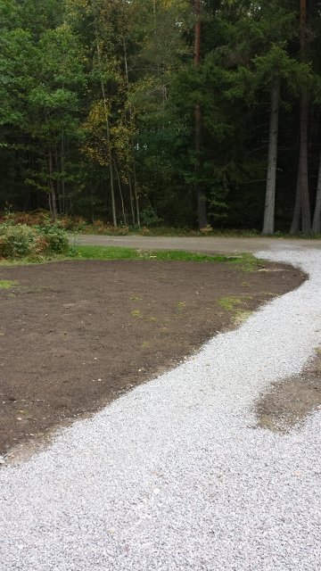 Nyutsädd gräsmatta längs kantad grusinfart med skog i bakgrunden.