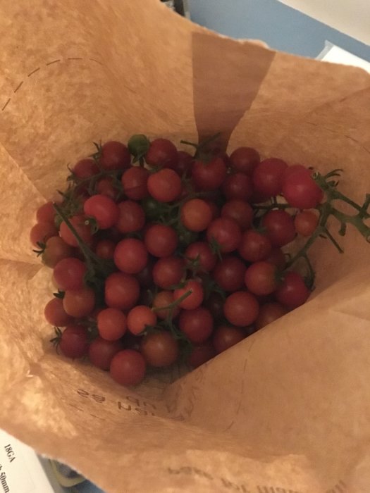 1,5 kg nyplockade tomater i en brun papperspåse.