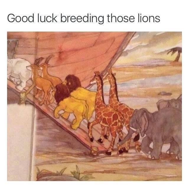 Illustration av djur i en kö för att gå ombord på Noaks ark med texten "Good luck breeding those lions".