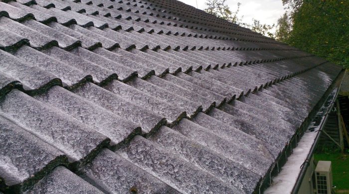 Ett tak med betongpannor som delvis är rengjort från mossa och påväxt, med skumrester efter kemisk behandling.
