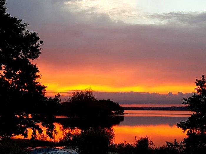 Solnedgång med orange och rosa himmel speglad i en lugn sjö omgiven av träd.