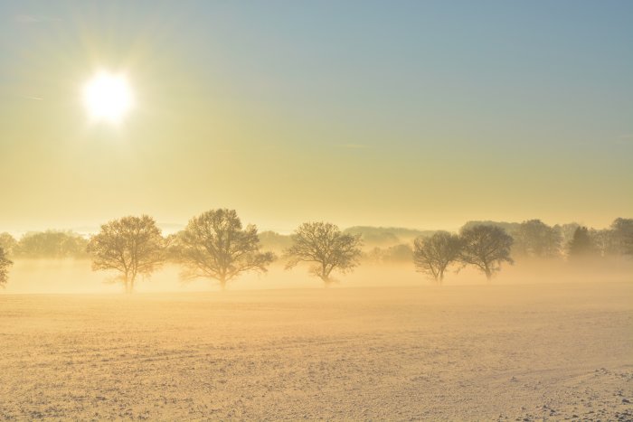 Dimma över ett snötäckt fält med träd och en solig himmel i bakgrunden.