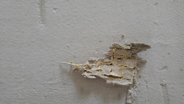 Skrapat lager av gammalt flytspackel och pappersliknande material på en betongyta med fuktfläckar.