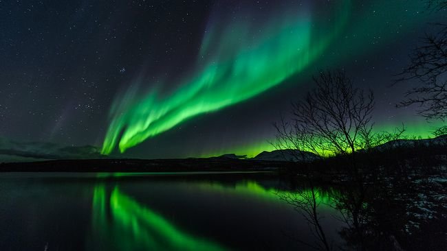 Norrsken speglar sig i en sjö med silhuetter av träd och stilla vatten under en stjärnklar himmel.