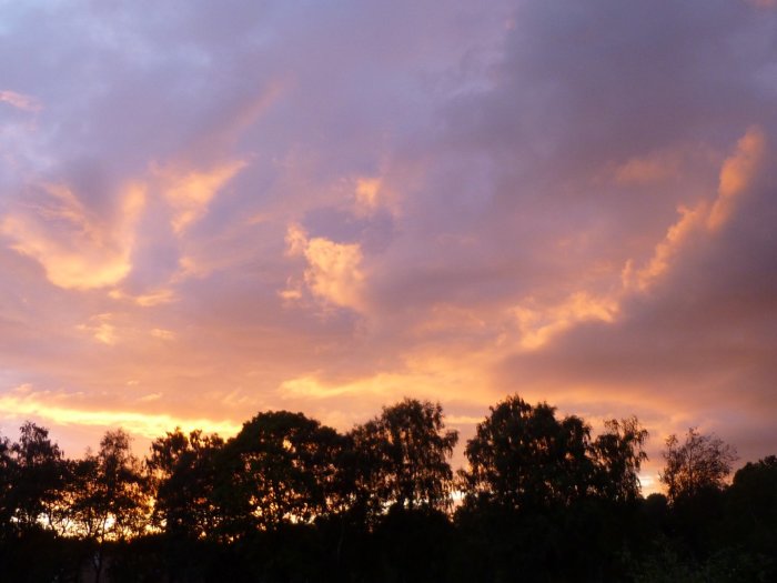 Kvällshimmel färgad i orange och rosa toner vid solnedgången med silhuetter av träd den 18 september.