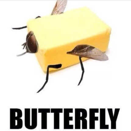 Humoristisk bild av ett smörpaket med tillagda insektsvingar och -antenn, bildar ordleken "butter-fly".