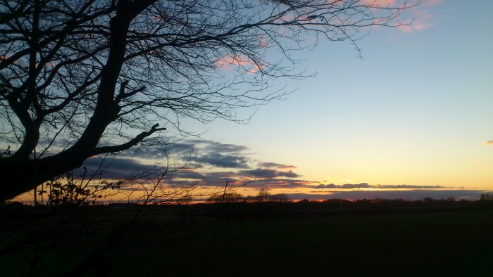 Solnedgång med silhuett av nakna trädkvistar mot en färgrik himmel.