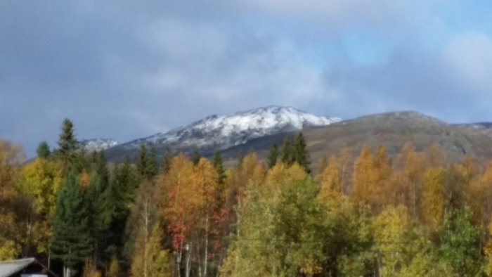 Snöklädda fjälltoppar bakom höstfärgade träd från en husvagnskur.