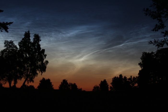 Ett sommarkvällslandskap med mörka silhuetter av träd mot en himmel med underupplysta moln och skymningsfärger.