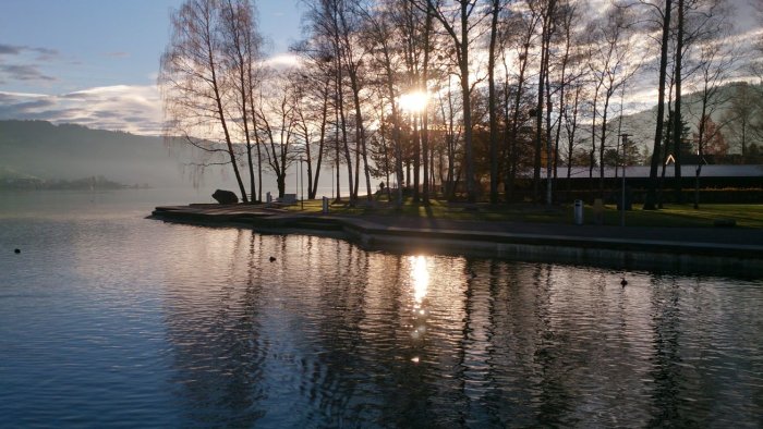 Morgonsol lyser genom träd vid Ägerisee i Unterägeri, Schweiz, med spegling i vatten.