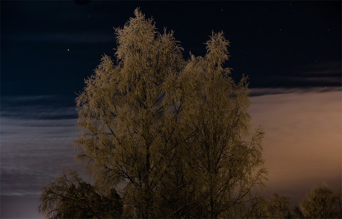 Vy från en entretrappa på vintern med frostiga träd mot en stjärnklar natt med molnstrimmor.