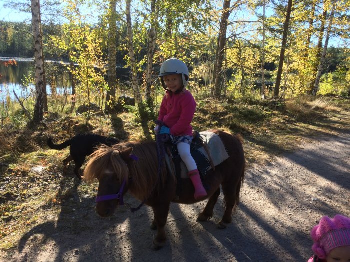 Barn i hjälm rider en ponny utomhus på en skogsstig medan ett annat barn tittar på.