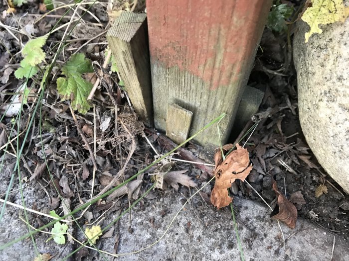 Detaljbild av ett cykelställs fundament med omgivande småväxtlighet och löv på marken.