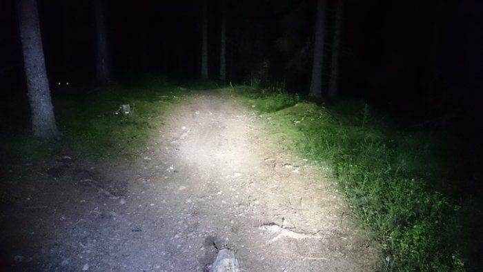 Cykellampa lyser upp en skogsstig på natten, visar ljusbilden framför en cykel.