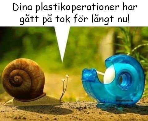 Snigel bredvid en tejpdispenser som ser ut som en snigelhus; humoristisk text om plastikoperationer.