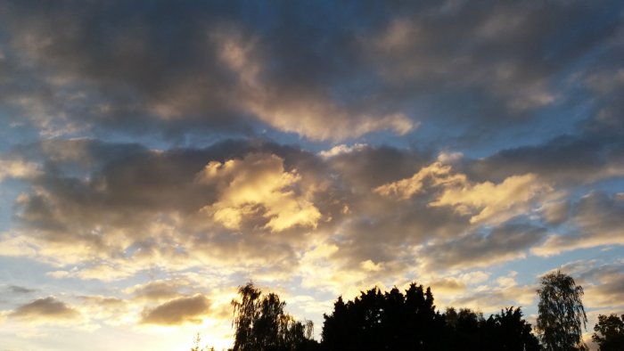 Solnedgång med silhuett av träd mot en himmel med moln.