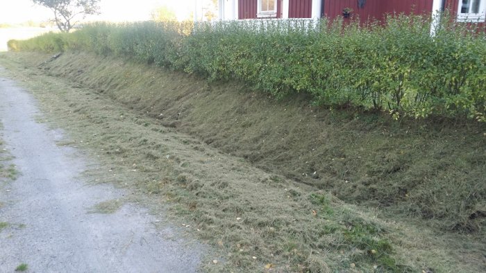 En föreslagen plats för murbygge i ett rådikt längs en grusväg med en häck vid röd stuga.