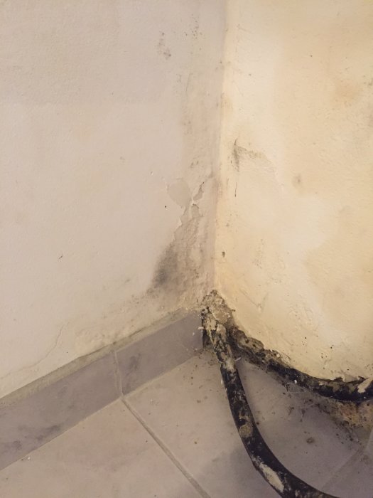 Källarvägg med mögelskador och fuktskador i hörn där vägg möter golv, skadad ytbehandling.
