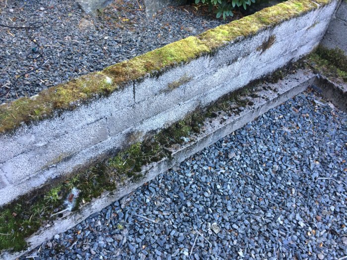 Mossbelagd betonggrund med sprickor intill grus, förberedd för utbyggnation sedan 10 år.