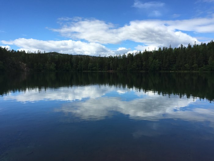 Spegling av himmel och skog i en stilla sjö i Höga Kusten vid midnatt på midsommarafton 2015.