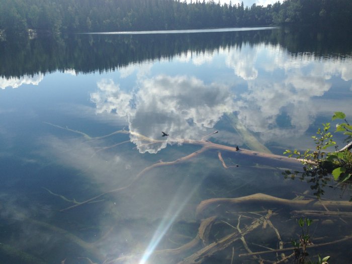 Spegelbild av moln i klart vatten vid Höga kusten midsommarafton 2015, synliga undervattensgrenar.