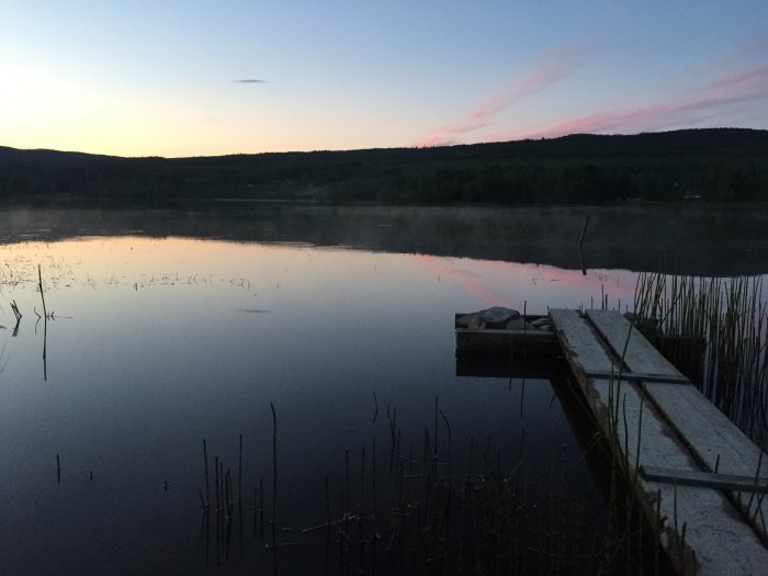 Kvällsvy över en stilla sjö i Höga Kusten vid midnatt midsommarafton med en träbrygga och rör i förgrunden.