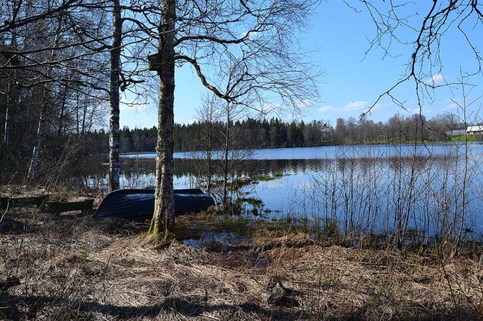 Vy över Åsunden med omkullvänd båt vid strandkanten och björkträd under våren 2014.
