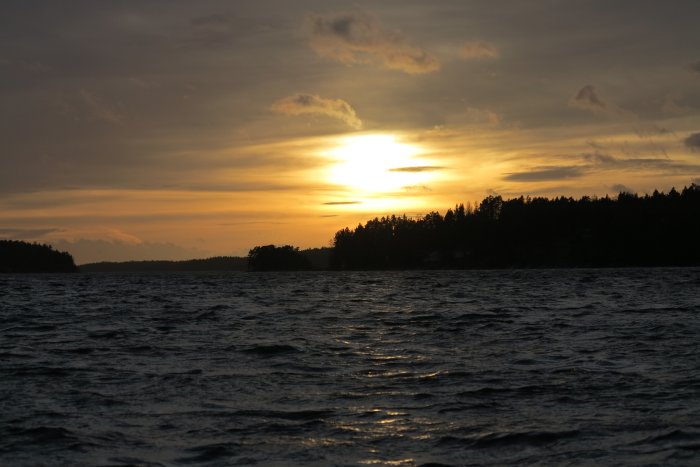 Solnedgång över vågigt vatten i Stockholms skärgård, silhuett av träd mot kvällshimlen.