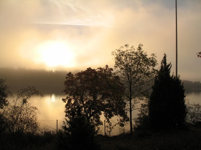 Dimmig soluppgång över lugnt vatten med träd i förgrunden, troligen Stockholms skärgård.