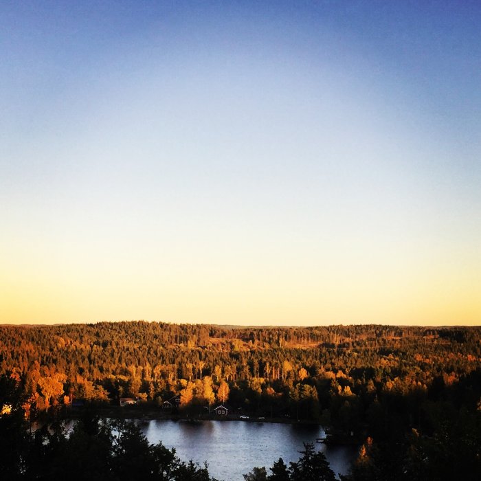 Höstutsikt över en sjö med omringande skog som börjar visa höstfärger i skymningsljus.