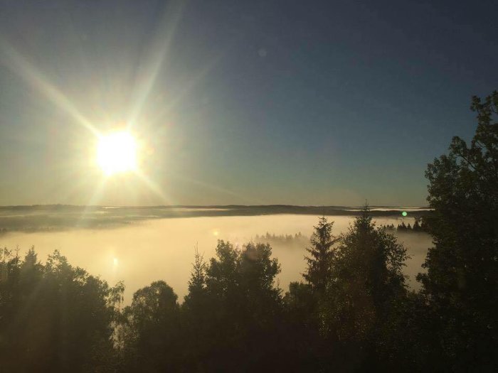 Soluppgång med starkt solljus över dimmig skog och landskap.